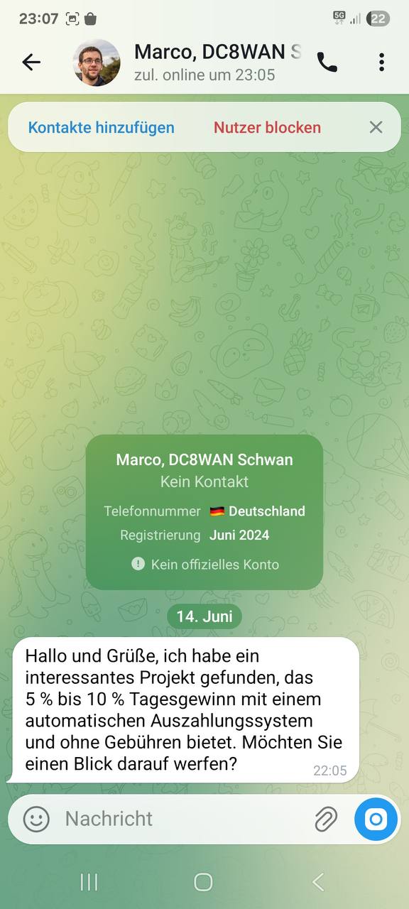 Beispiel einer Scam-Nachricht im Messenger-Stil